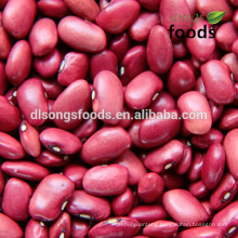 Red Kidney Beans, Square shape